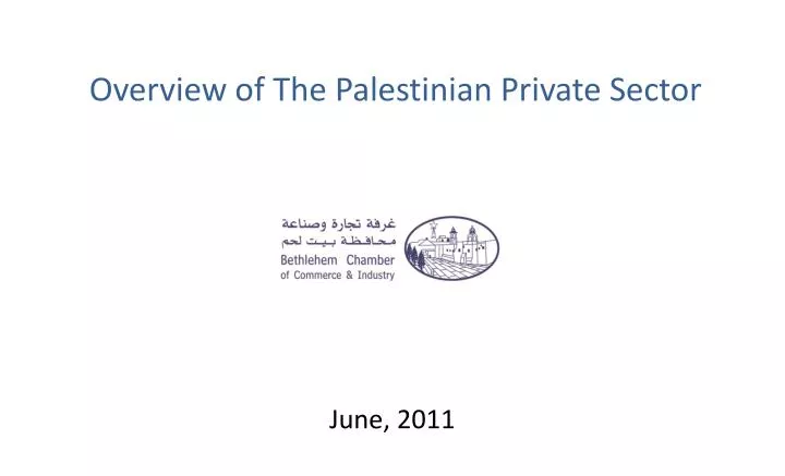 overview of the palestinian private sector
