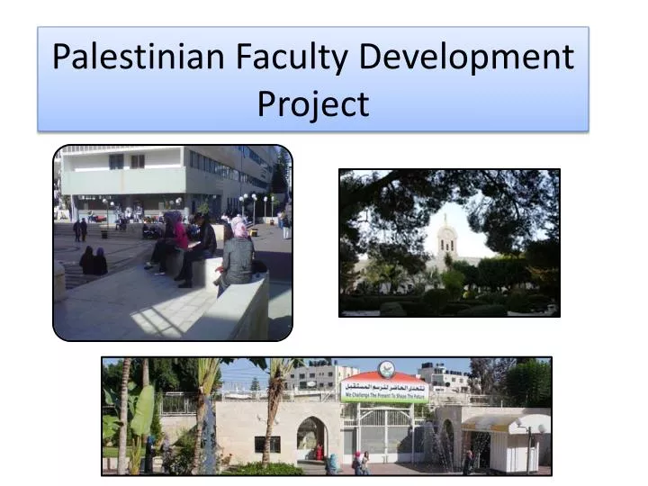 palestinian faculty development project