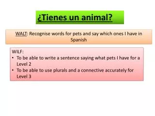 WALT : Recognise words for pets and say which ones I have in Spanish