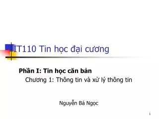 it110 tin h c i c ng