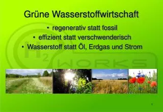 gr ne wasserstoffwirtschaft