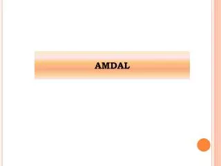 amdal
