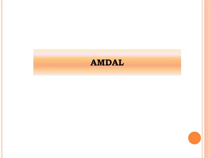 amdal