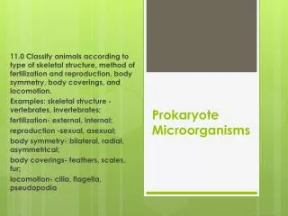 Prokaryote Microorganisms