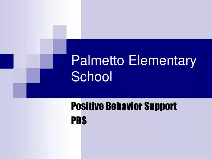 palmetto elementary school