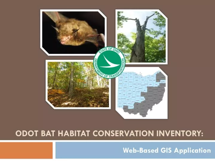 odot bat habitat conservation inventory