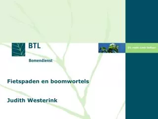 fietspaden en boomwortels judith westerink