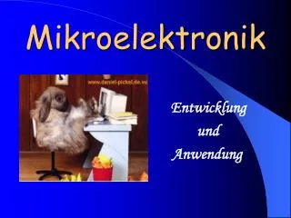 mikroelektronik