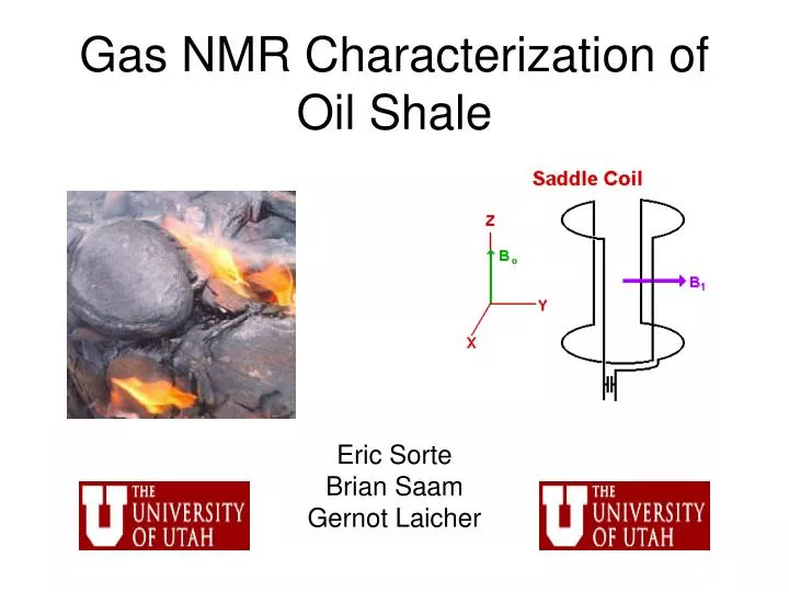 gas nmr characterization of oil shale