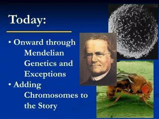 Today: Onward through 	Mendelian 	Genetics and 	Exceptions Adding 	Chromosomes to 	the Story