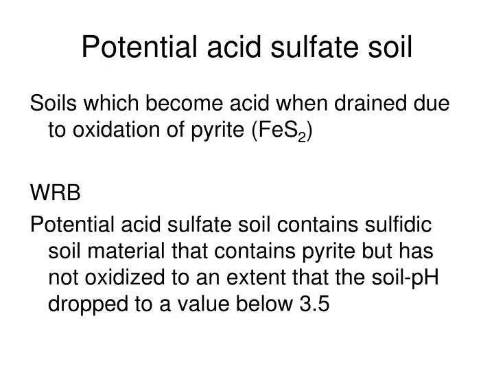 potential acid sulfate soil