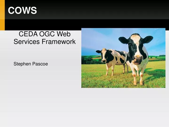 ceda ogc web services framework