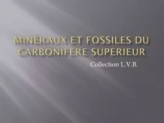 min raux et fossiles du carbonif re sup rieur