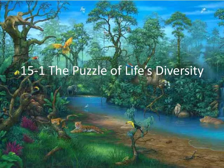 15 1 the puzzle of life s diversity