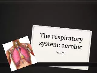 The respiratory system: aerobic