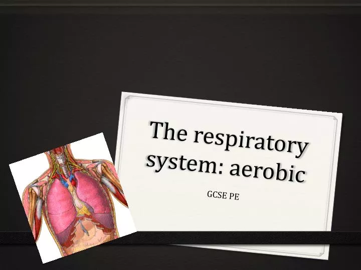 the respiratory system aerobic