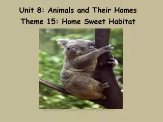 Unit 8: Animals and Their Homes