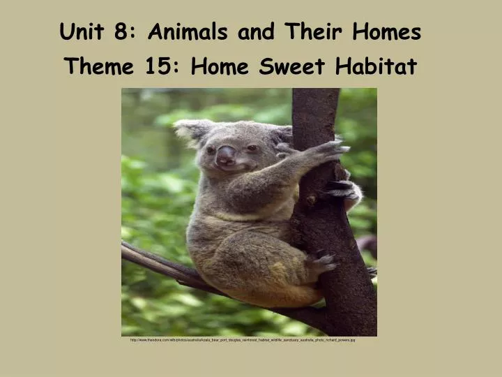 unit 8 animals and their homes