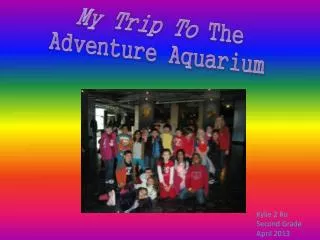My Trip To The Adventure Aquarium