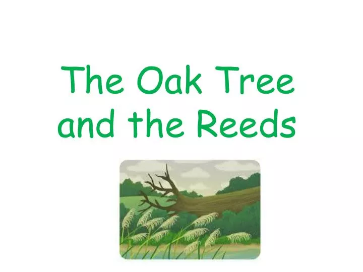 the oak tree and the r eeds