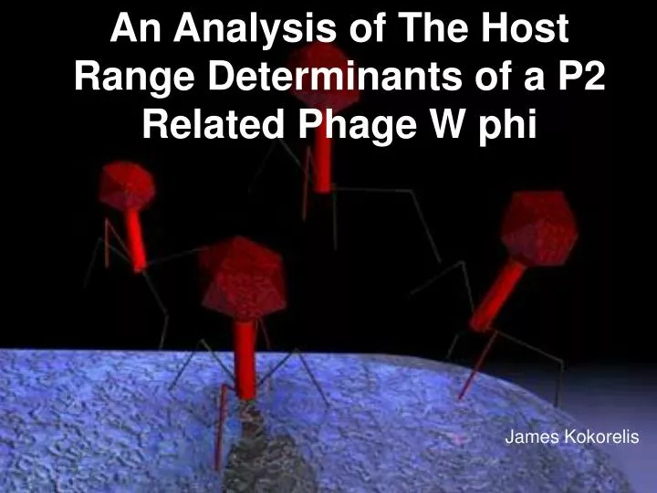 an analysis of the host range determinants of a p2 related phage w phi