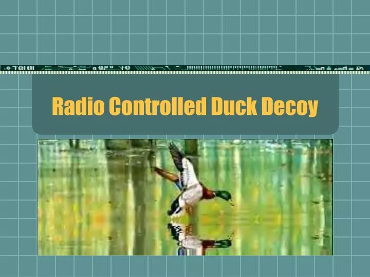 radio controlled duck decoy