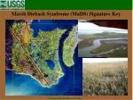 Comprehensive Guide to Marsh Dieback Syndrome (MaDS) Identification for Wetland Management - slide 1