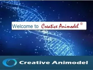 Creative Animodel An Inroduction To A Biomedical Research Or