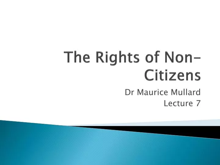 the rights of non citizens