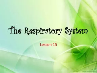 The Respiratory System