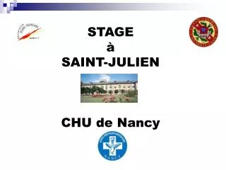 stage saint julien chu de nancy