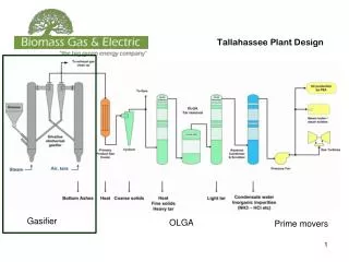 Tallahassee Plant Design