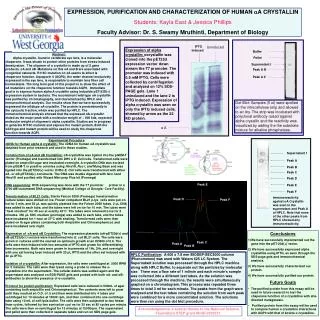 EXPRESSION, PURIFICATION AND CHARACTERIZATION OF HUMAN a A CRYSTALLIN