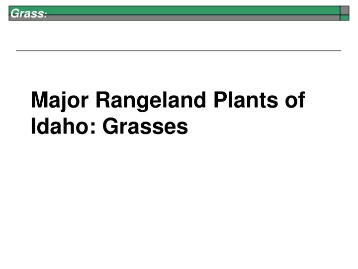 major rangeland plants of idaho grasses