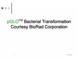 pGLO TM Bacterial Transformation Courtesy BioRad Corporation