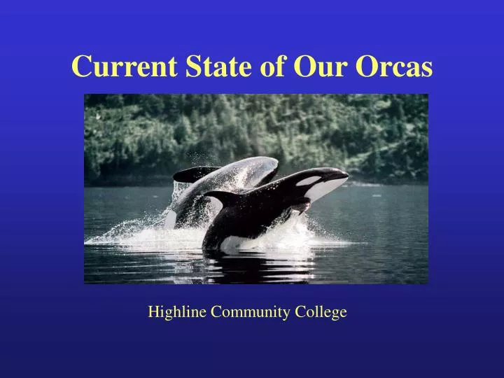 current state of our orcas