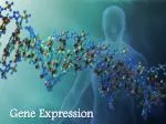 Gene Expression - slide 1