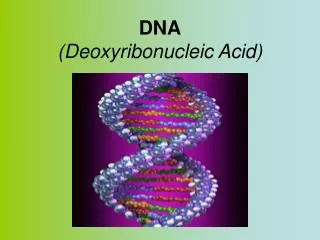 dna deoxyribonucleic acid
