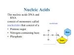 Nucleic Acids - slide 1