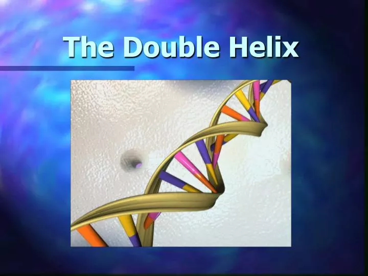 the double helix