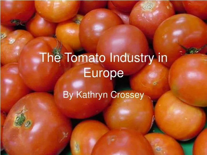 the tomato industry in europe