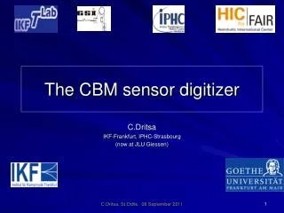 The CBM sensor digitizer
