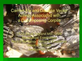 Carrion Fly and Disease Vector Activity Associated with a Decomposing Corpse