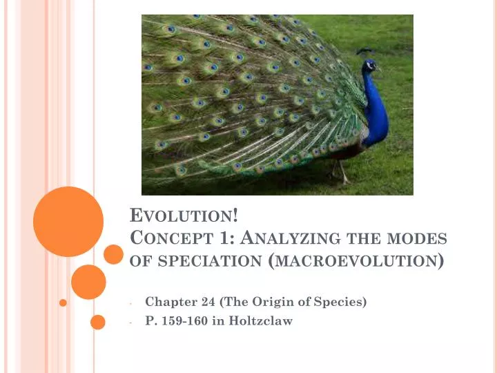 evolution concept 1 analyzing the modes of speciation macroevolution