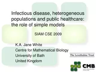 Infectious disease, heterogeneous populations and public healthcare: the role of simple models