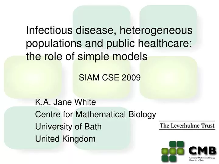infectious disease heterogeneous populations and public healthcare the role of simple models