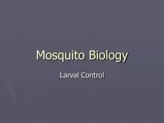 Mosquito Biology