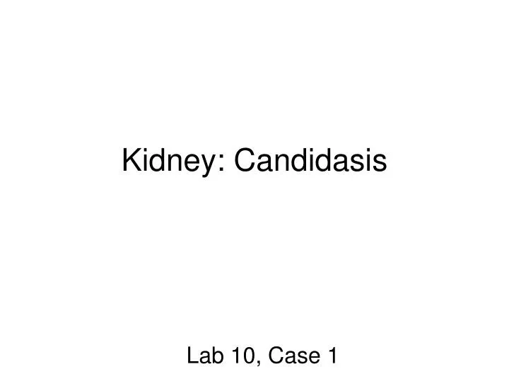 kidney candidasis