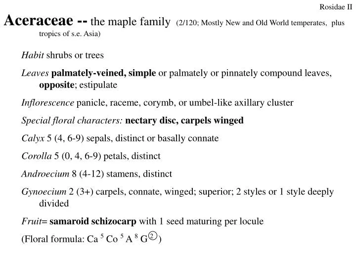 aceraceae the maple family 2 120 mostly new and old world temperates plus tropics of s e asia