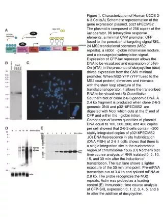 figTDbiomolmaster1